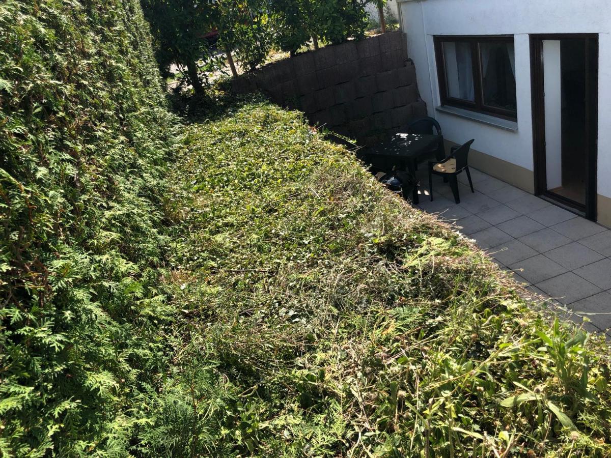 Ferienwohnung Familie Hinrichs Dorn-Durkheim Exteriér fotografie